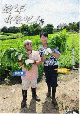 慢综艺《周末不打烊》在线观看海报